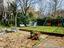 Immagine 26