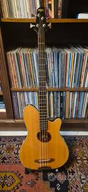 BASSO ACUSTICO Ibanez Talman Intertour TTR 34B