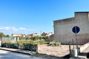terreno edificabile  a pedalino