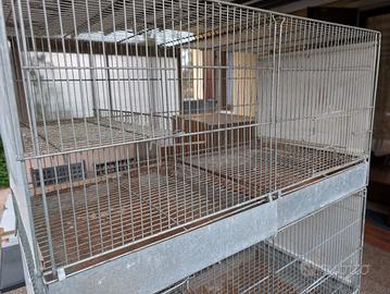 Gabbie cova per pappagalli