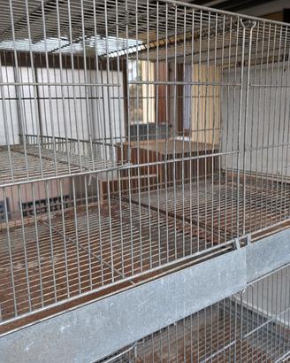 Gabbie cova per pappagalli