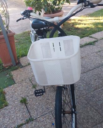 bicicletta elettrica con pedalata assistita 