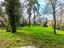 Immagine 24