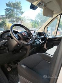fiat ducato anno  2021