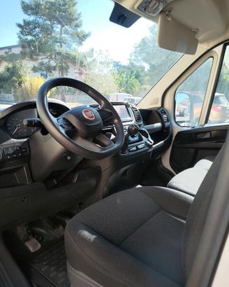 fiat ducato anno  2021