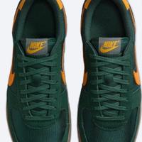 Nike field