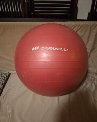 Fitball 50 diametro