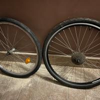 Ruote bici anteriore e posteriore Millennium