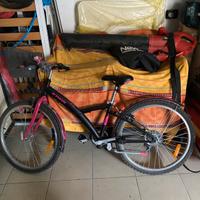 Bici bambina 24”