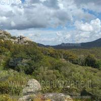 Terreno Agricolo Calangianus [A4344492]