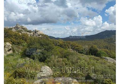 Terreno Agricolo Calangianus [A4344492]