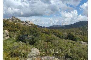 Terreno Agricolo Calangianus [A4344492]