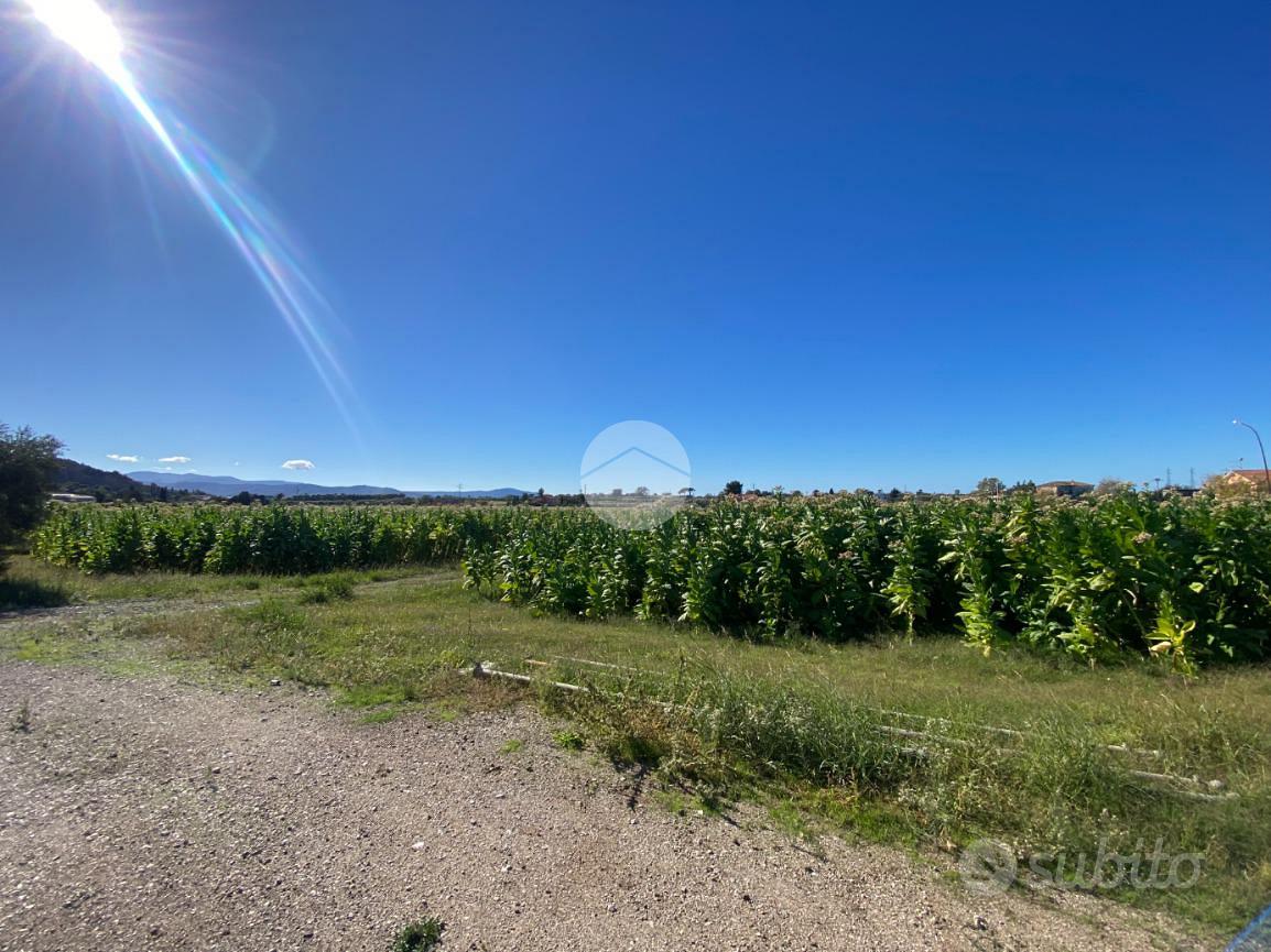 TER. AGRICOLO A CAPACCIO - Vista 4