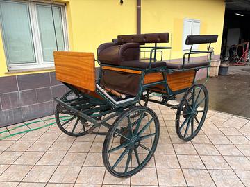 Carrozza Wagonette (13)