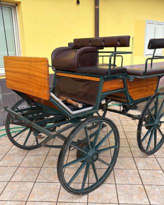Carrozza Wagonette (13)