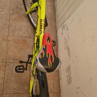 Bicicletta