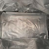 Borsa Frigo Nuova