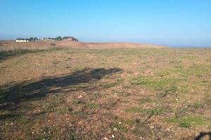 Tuscania Terreno Agricolo