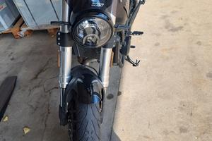 benelli leoncino
