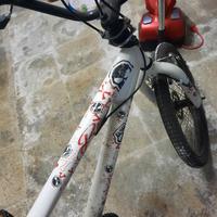 splendida bmx