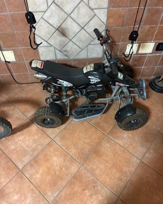 mini quad