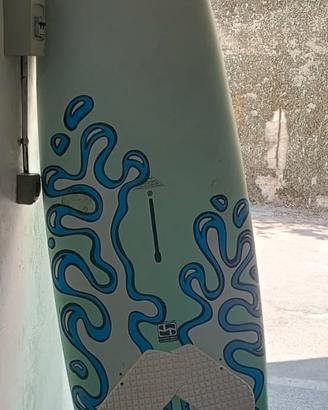 tavola surf 