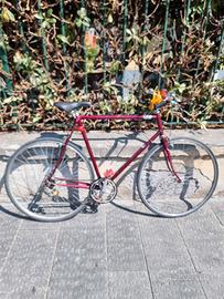 Bici per il canile di Rapallo IL RIFUGIO