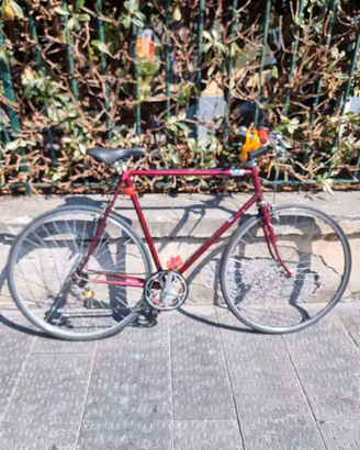 Bici per il canile di Rapallo IL RIFUGIO