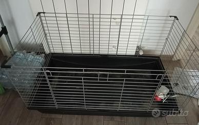 Gabbia per porcellino d'india/cavia