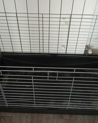 Gabbia per porcellino d'india/cavia
