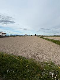 Terreno agricolo