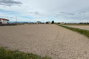 Terreno agricolo