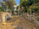 terreno-agricolo-imperia-cod-rif-801vcg-