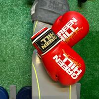 Green hill guanti da boxe