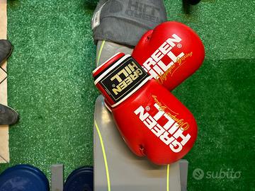 Green hill guanti da boxe
