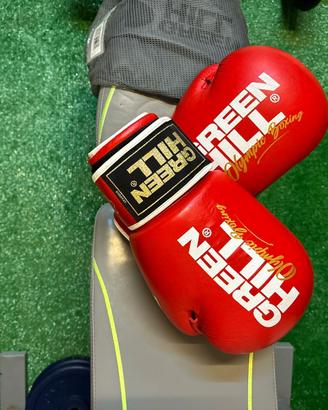 Green hill guanti da boxe