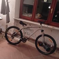 Mtb/whellie bike 