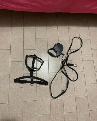 Guinzaglio cane piccolo