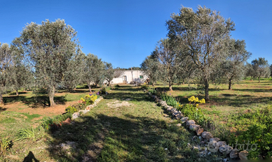 Terreno agricolo edificabile