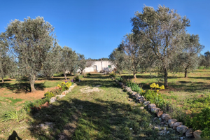 Terreno agricolo edificabile