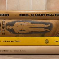 Lotto libri Norman Mailer 