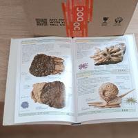 Scopri il Mondo Perduto: "Fossili - Viaggio nel Te