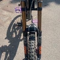 Forcelle fox 40 kascima  (solo forcelle no bici )