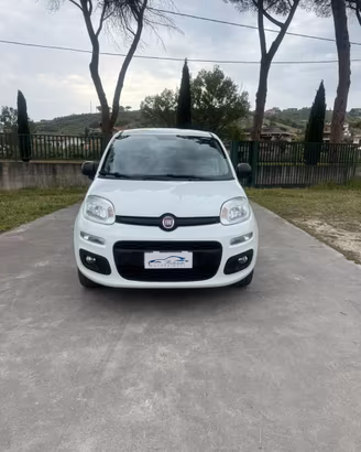 Panda van