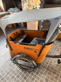 Cargo Bike