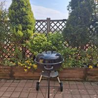 barbecue griglia