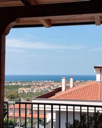 appartamento accogliente 