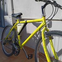 Bicicletta  ????? 