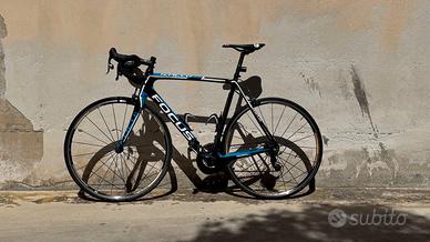 FOCUS IZALCO