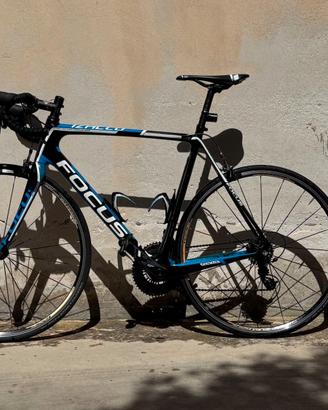 FOCUS IZALCO